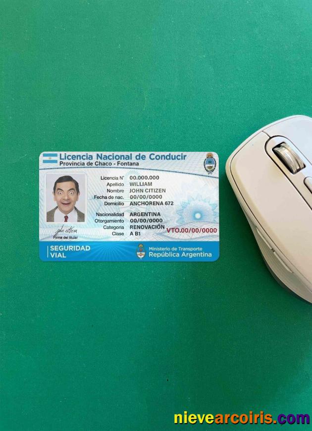 Argentina driving license photolook